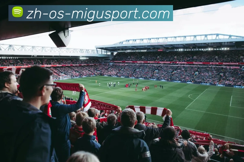 App Interface Preview